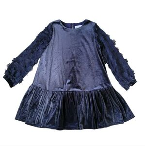 Chasing Fireflies Velvet Floral Sleeve Dress